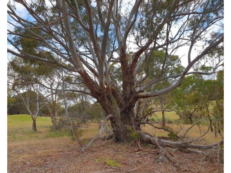 Lot Lot, 77  Eagle Court, Wirrina Cove SA 5204