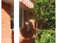 2/15B Howard Street, Underdale SA 5032