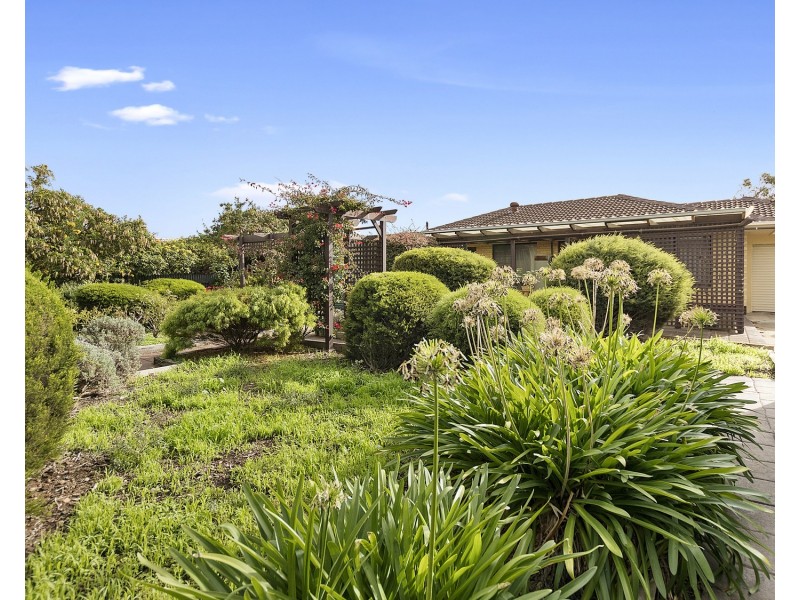 10 Collie Avenue, Port Noarlunga South SA 5167