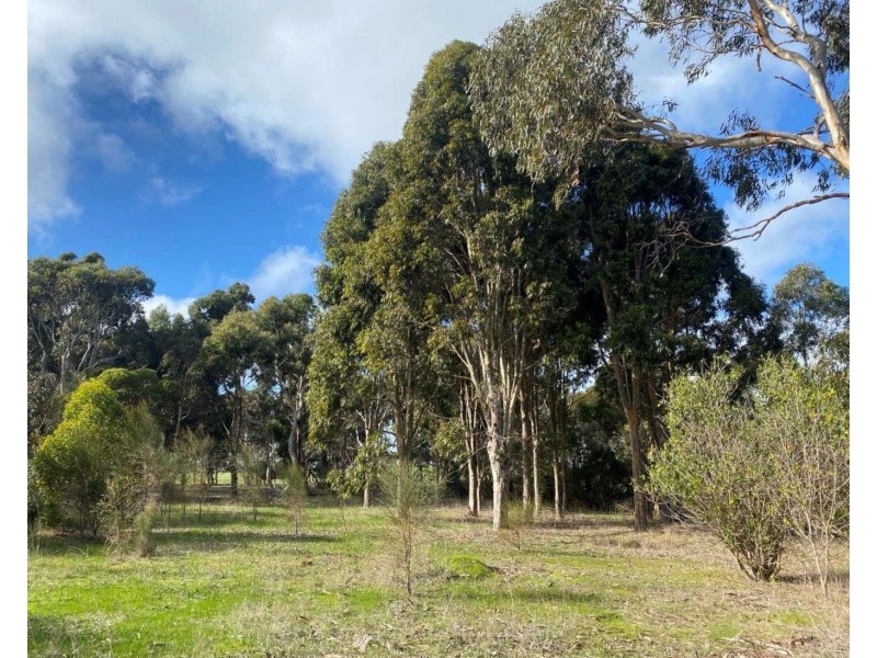 Lot/40 Ian Road, Cuttlefish Bay SA 5222