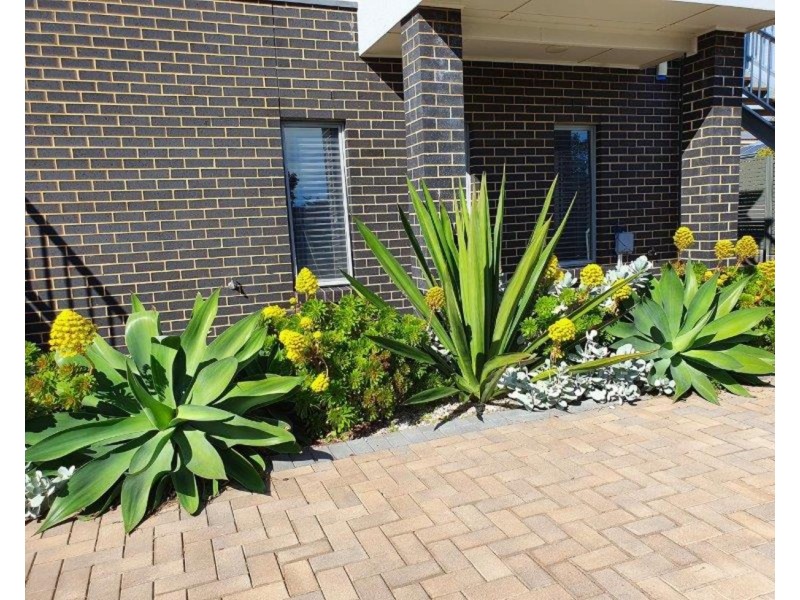 1/17 Davis Avenue, Christies Beach SA 5165