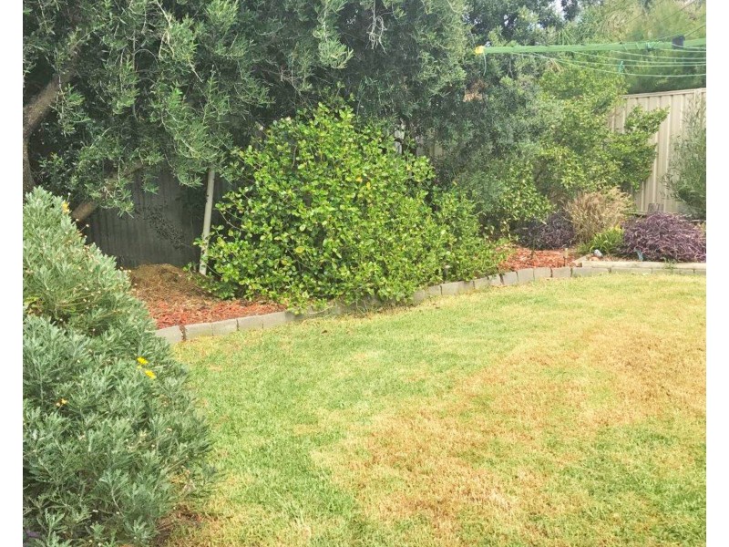 6 Ackland Avenue, Christies Beach SA 5165