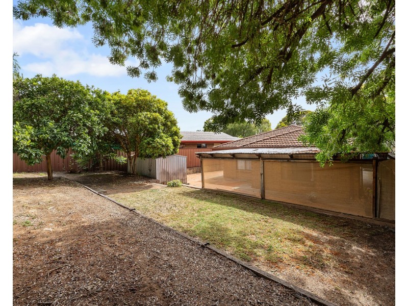 41 Nash Crescent, Morphett Vale SA 5162