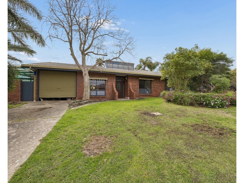 8 Ginkgo Street, Hallett Cove SA 5158