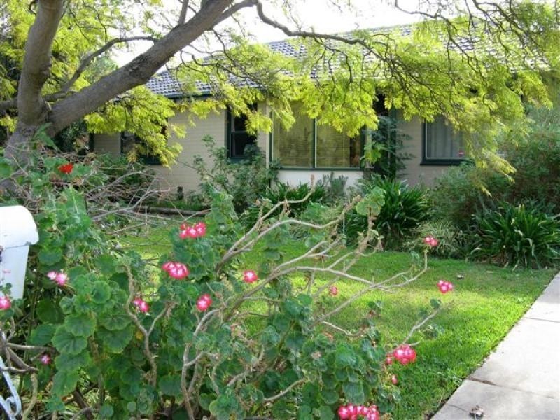 11 Bammann Street, Christies Beach SA 5165