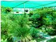 325 Pimpala Road, Woodcroft SA 5162