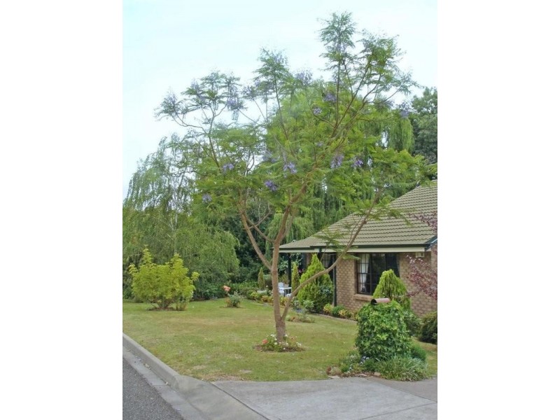 25 Colorado Drive, Glenalta SA 5052