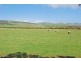 18 Tangier Boulevard, Sellicks Beach SA 5174