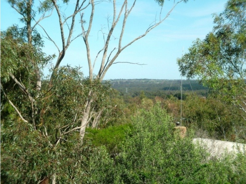 45 Coachwood Drive, Aberfoyle Park SA 5159