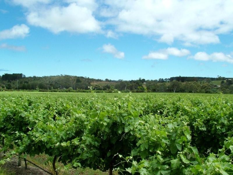 18 Paula Court, Mclaren Flat SA 5171