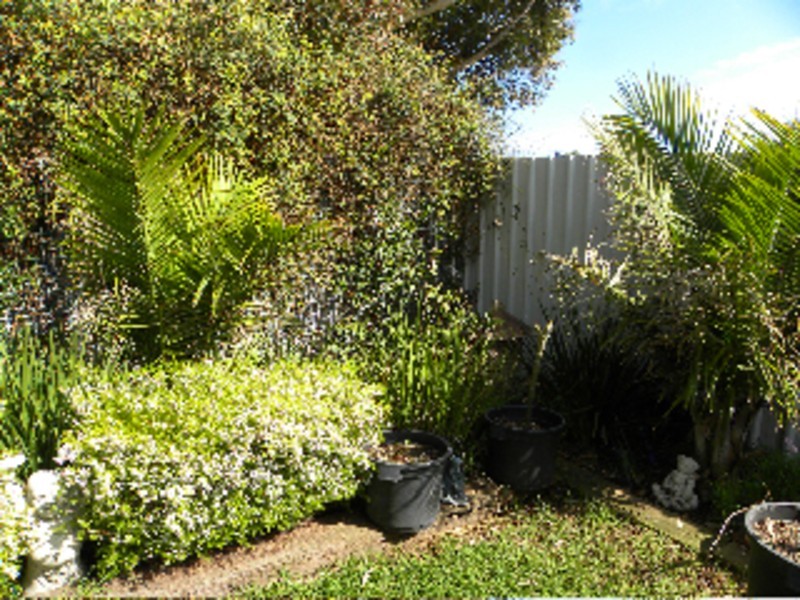 117 Wellington Avenue, Sellicks Beach SA 5174