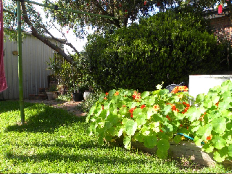 117 Wellington Avenue, Sellicks Beach SA 5174