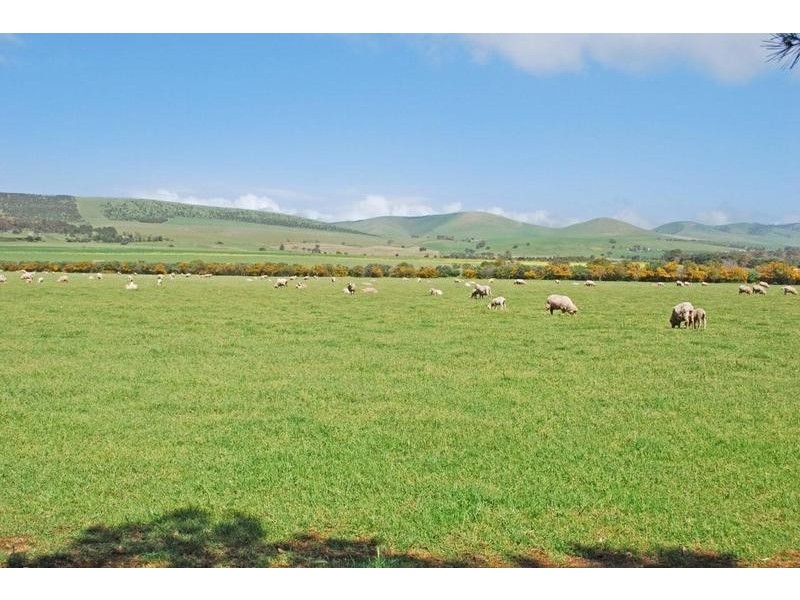 18 Tangier Boulevard, Sellicks Beach SA 5174