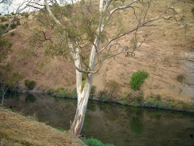 46 Malpas Street, Old Noarlunga SA 5168