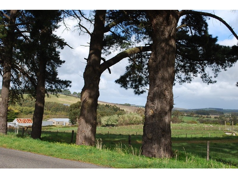 12 Waye Court, Mount Compass SA 5210