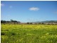 2 Palermo Street, Sellicks Beach SA 5174
