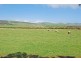 18 Tangier Boulevard, Sellicks Beach SA 5174
