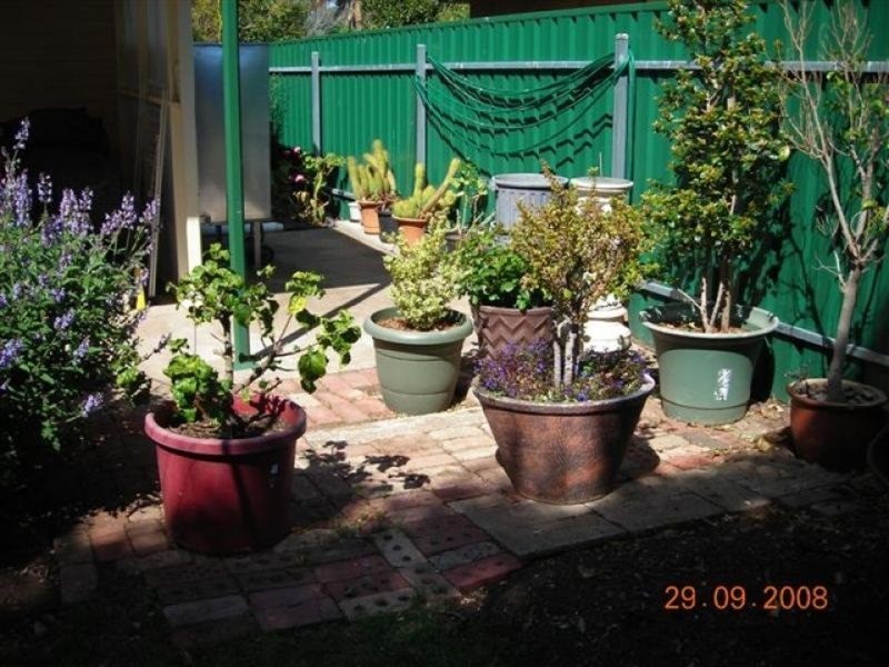 11 Bammann Street, Christies Beach SA 5165
