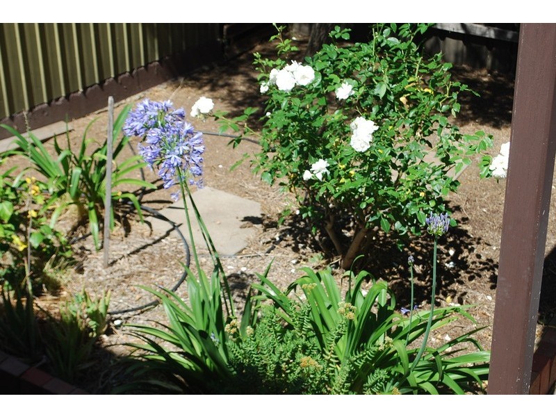 49 Grenache Road, Hackham SA 5163