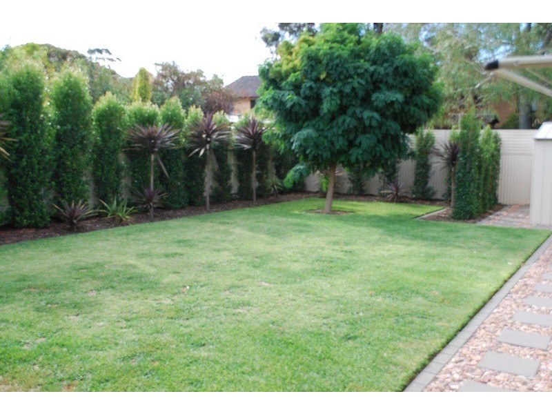 19a Dwyer Road, Oaklands Park SA 5046