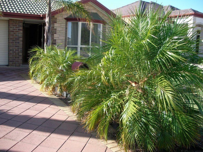 16 Stonework Circuit, Sheidow Park SA 5158