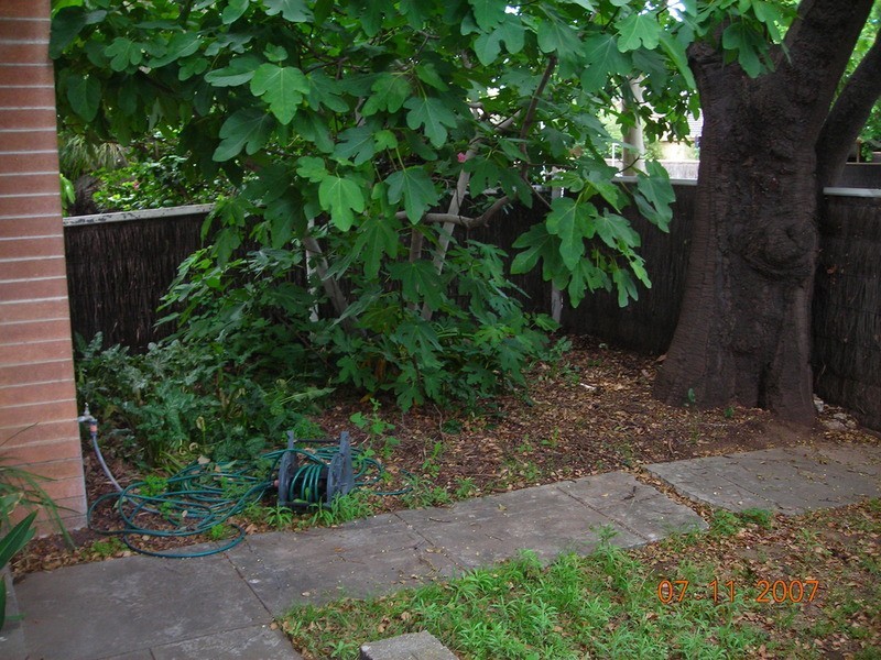 6/123 Cross Road, Hawthorn SA 5062