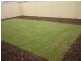 18 Miranda Place, Seaford Meadows SA 5169