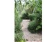 36 Fenton Avenue, Christies Beach SA 5165