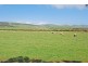 18 Tangier Boulevard, Sellicks Beach SA 5174