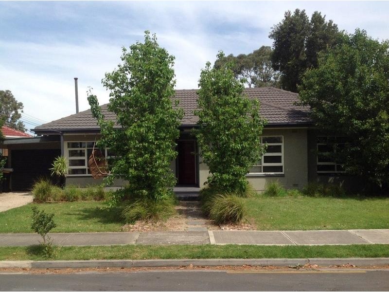 8 Burton Street, Richmond SA 5033