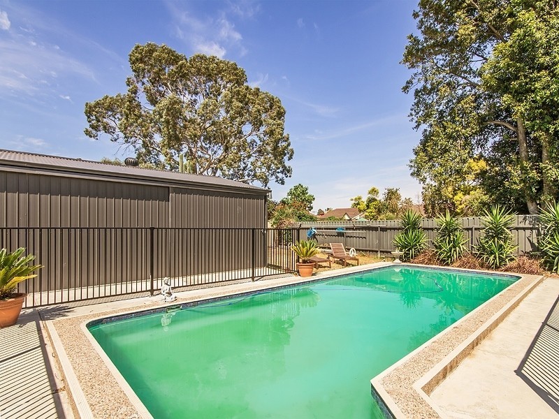 8 Burton Street, Richmond SA 5033