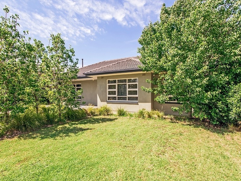 8 Burton Street, Richmond SA 5033