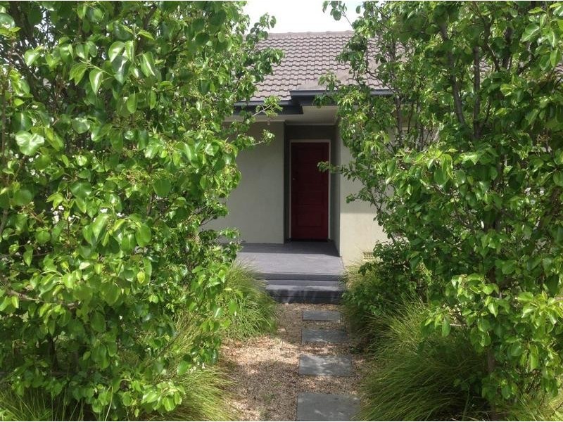 8 Burton Street, Richmond SA 5033