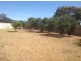 Lot Lot , 101 Mountain Ash Drive, Hackham SA 5163