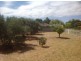 Lot Lot , 101 Mountain Ash Drive, Hackham SA 5163
