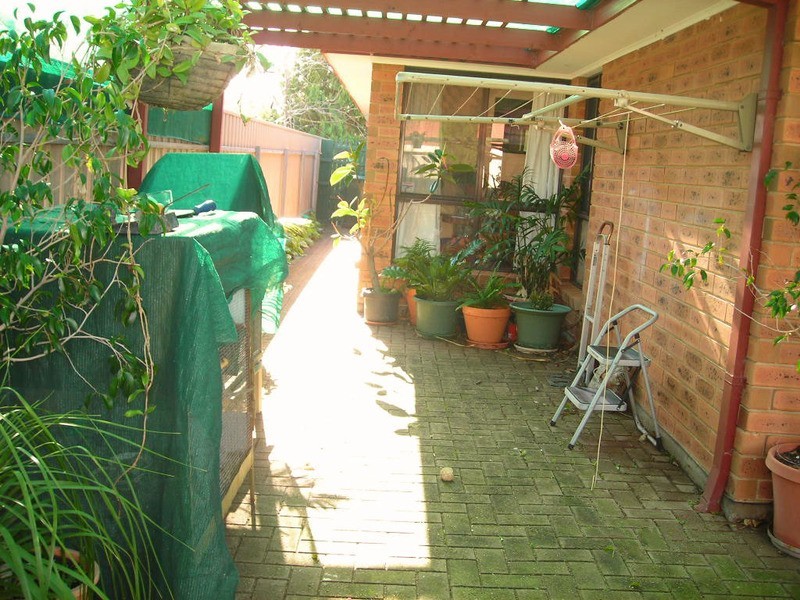 58 Endeavour Drive, Seaford Rise SA 5169