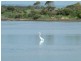 4/106 Esplanade, Port Noarlunga SA 5167