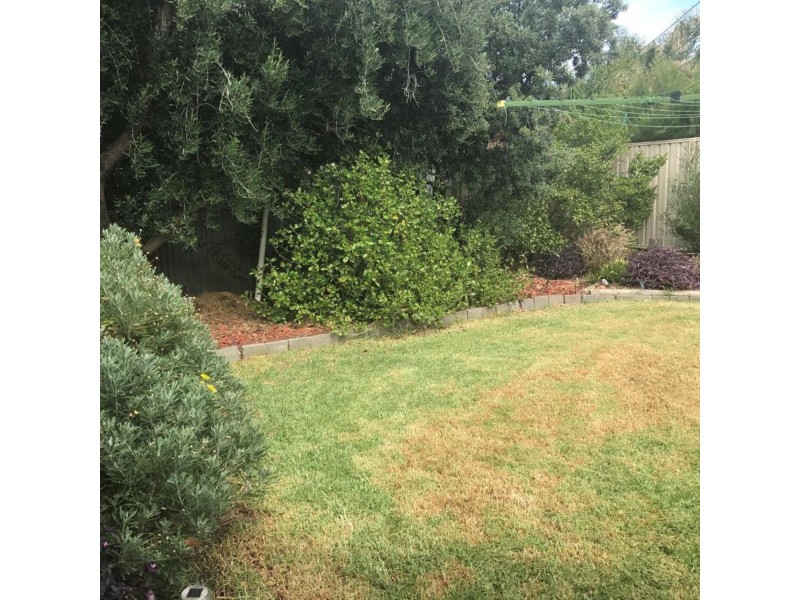 6 Ackland Avenue, Christies Beach SA 5165