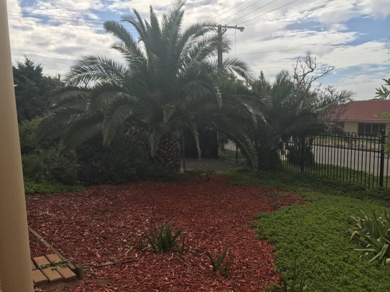 6 Ackland Avenue, Christies Beach SA 5165