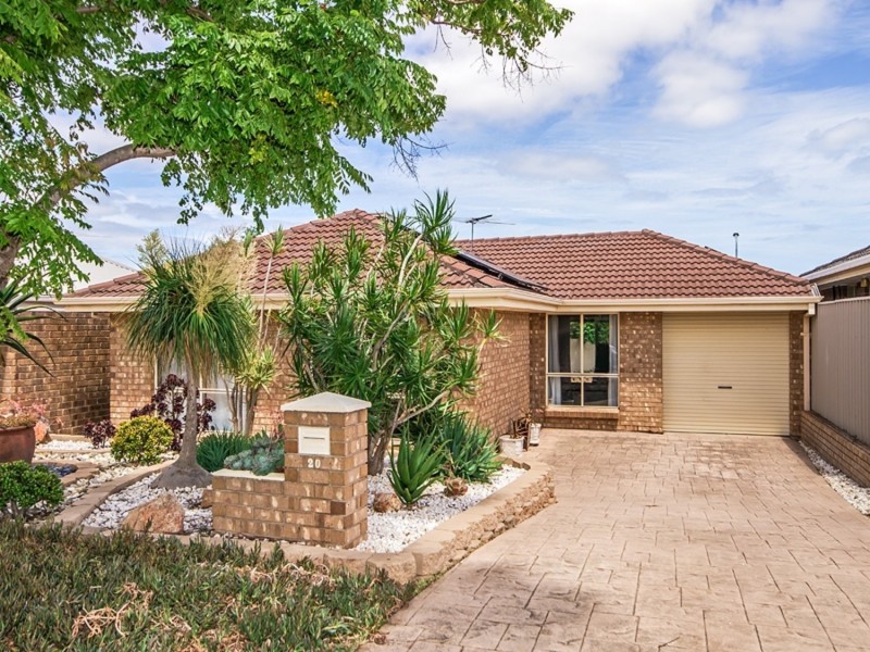 20 Goulding Grove, Noarlunga Downs SA 5168