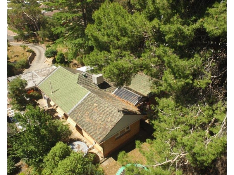 6 Richardson Avenue, Tranmere SA 5073