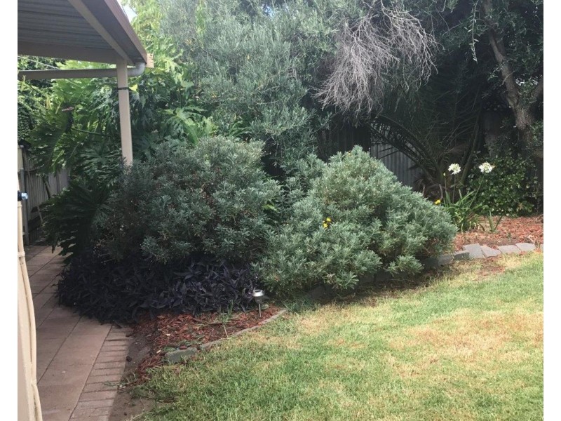 6 Ackland Avenue, Christies Beach SA 5165