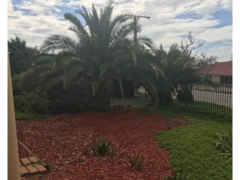 6 Ackland Avenue, Christies Beach SA 5165