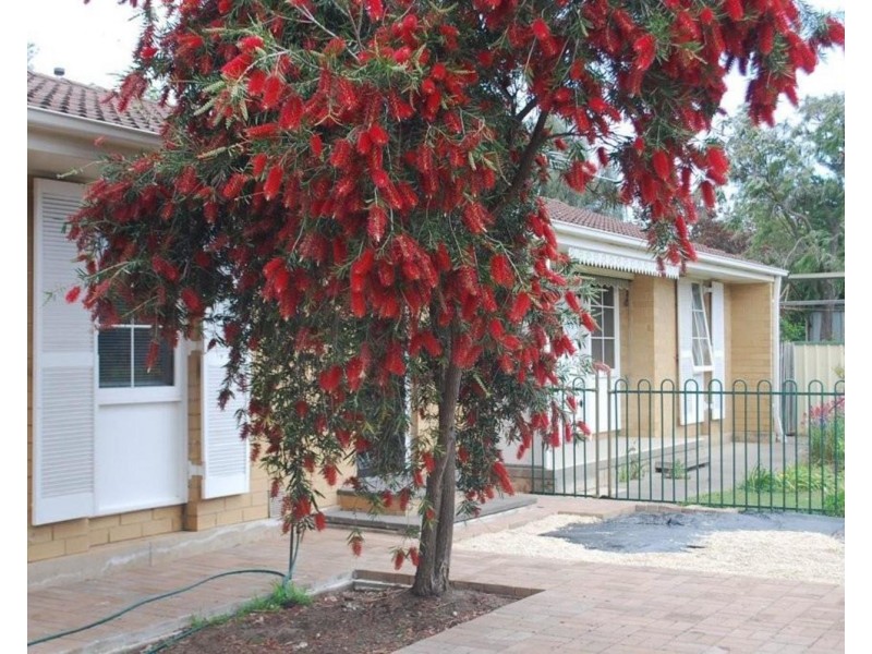 12b Dominic Crescent, Morphett Vale SA 5162