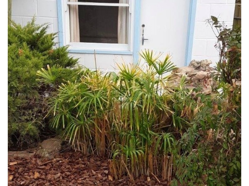 27 Taunton Parade, Christies Beach SA 5165