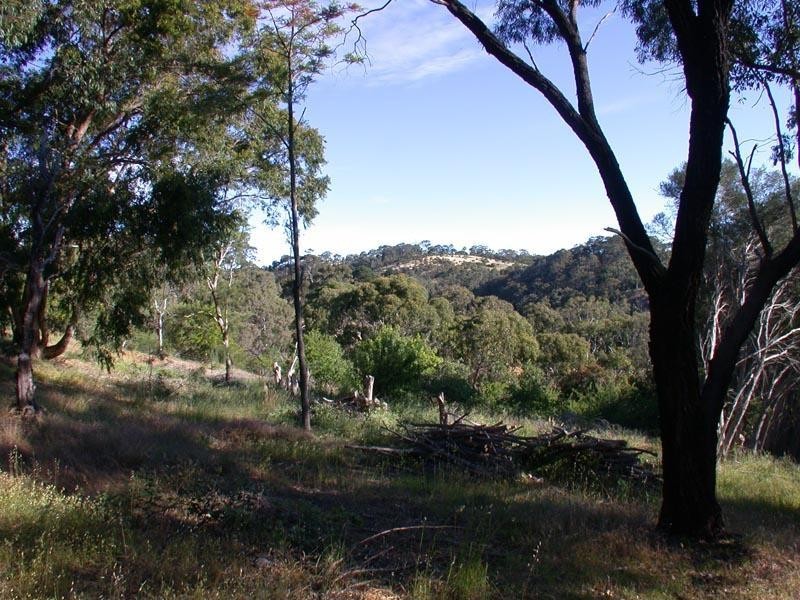 Lot 66 Footts Hill Road, Hawthorndene SA 5051