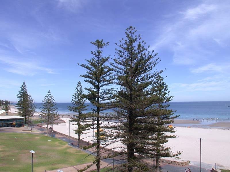 511/19 Holdfast Promenade, Glenelg SA 5045