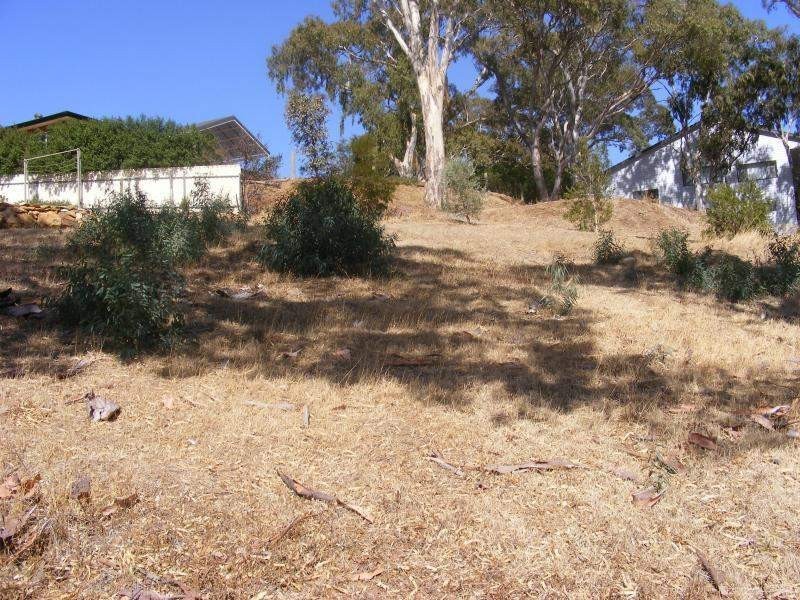 23 Scenic Crescent, Chandlers Hill SA 5159
