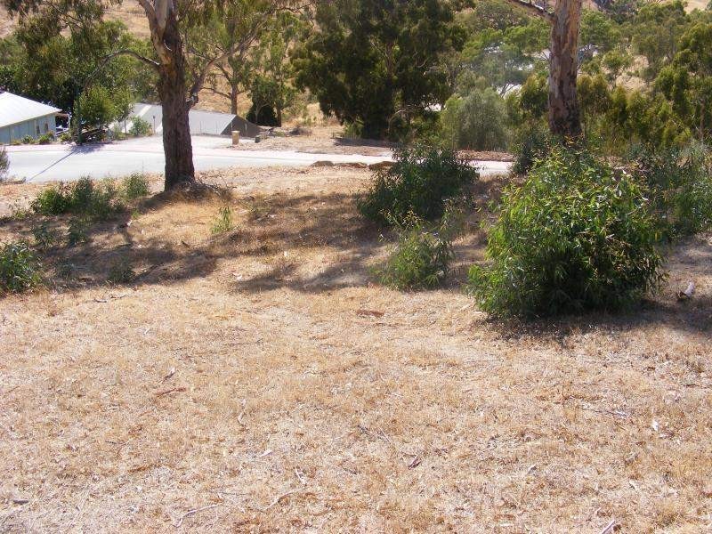 23 Scenic Crescent, Chandlers Hill SA 5159