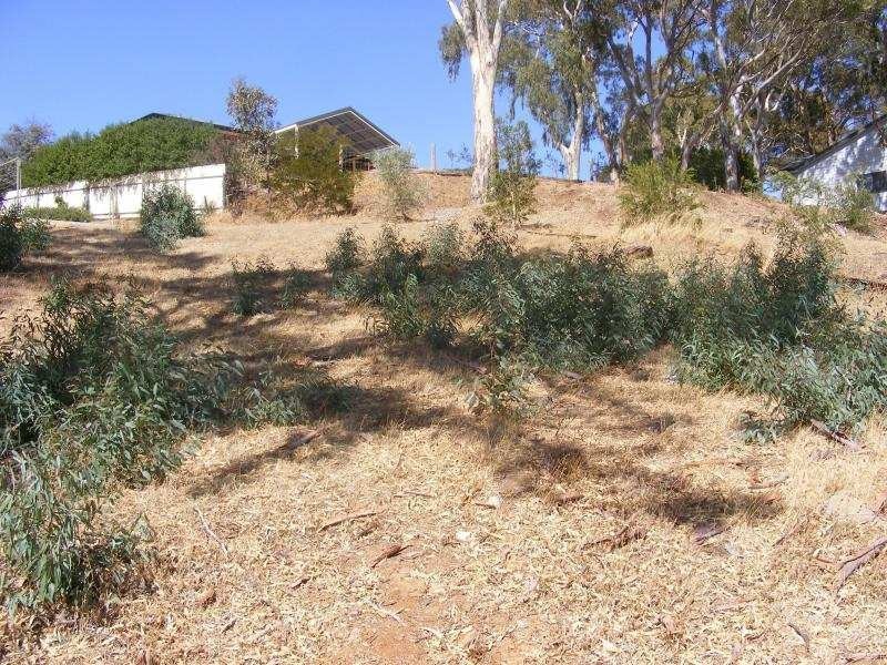 23 Scenic Crescent, Chandlers Hill SA 5159